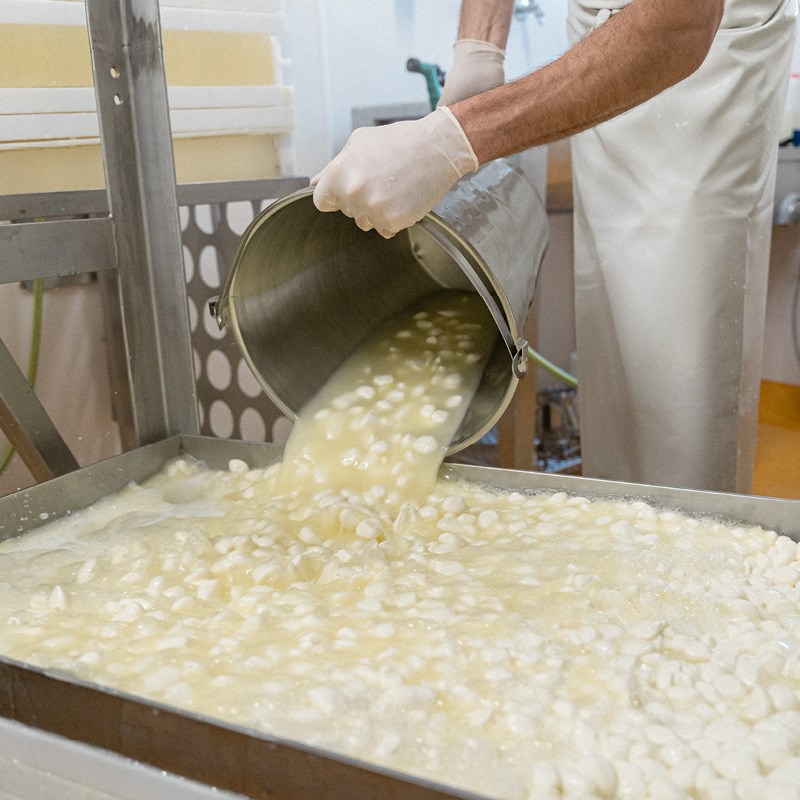 Milchproduktion für Direktvermarktung