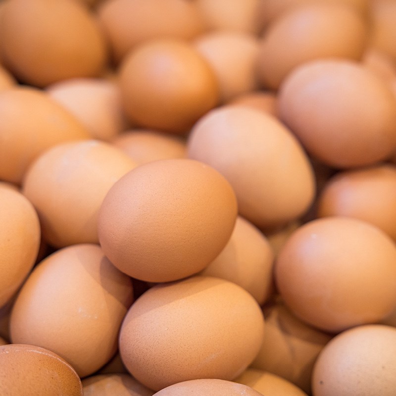 Eier